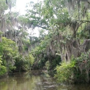 Meet your Posher, Lucinda